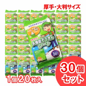 ウェットシート 厚手 大判 防菌 防カビ 掃除 ぞうきん 使い捨て 日本製 20枚入 30個セット 送料無料