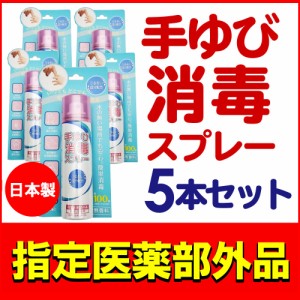 消毒スプレー 除菌スプレー アルコール除菌 携帯 手指消毒 無水エタノール 無香料 55mL 5個セット 指定医薬部外品 送料無料