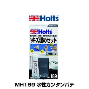 Holts ホルツ MH189 水性カンタンパテ