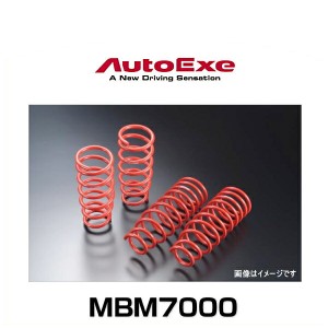 AutoExe オートエクゼ MBM7000 ローダウンスプリング アクセラ（BM2FS）