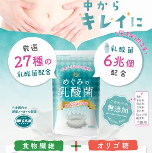 乳酸菌 サプリ ビフィズス菌 ガセリ菌 ラブレ菌 善玉菌 サプリメント めぐみの乳酸菌 27種6兆個の乳酸菌 タブレット 30日分