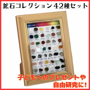 鉱石 鉱物 宝石 岩石 標本 42種セット 天然石 原石 図鑑 コレクション 子ども プレゼント ギフト 研究 宿題 勉強 パワーストーン