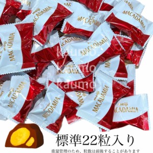 明治 マカダミア チョコレート 約22粒入 チョコ チョコレート スイーツ お菓子(食品マカダミア1)