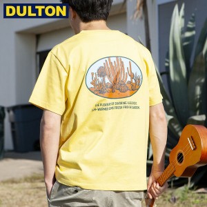 DULTON ダルトン Tシャツ スワロー XL マスタード (品番：T23-0653XL/MS) BOTANY T-SHIRT SAGUARO XL/MS ダルトン インダストリアル アメ