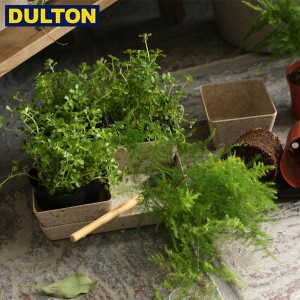 DULTON ボタニー スクエア サキュレント ポット チャフ (品番：K865-1038CHA) ダルトン インダストリアル アメリカン ヴィンテージ 男前