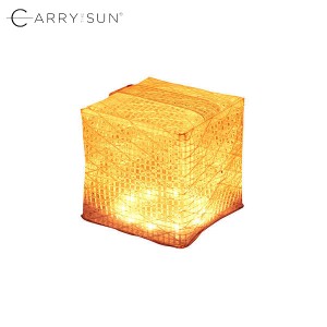 CARRY THE SUN レインボー ミディアム CTSR-M キャリー・ザ・サン CODE：05054633