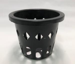 原種 洋蘭 大図鑑 中古の通販 Au Pay マーケット