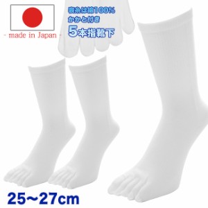 5本指 靴下 メンズ 3足組 日本製 表糸綿100% SEK認証抗菌加工  白 メンズ 日本製のこだわり かかと付き