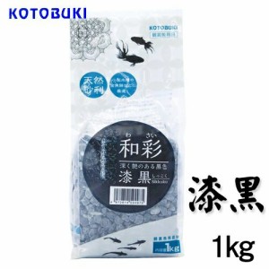 寿工芸 和彩 漆黒 おまとめ12個セット 送料無料