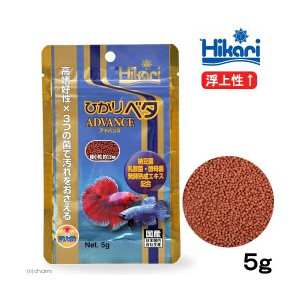 ヒカリ ( Hikari ) ベタ アドバンス 5g 送料無料