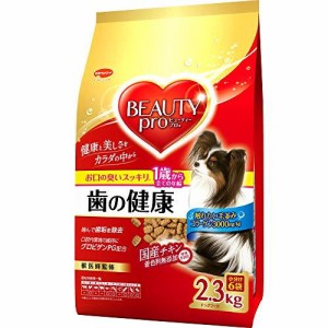 ビューティープロ ドッグ 歯の健康 1歳から2300g 犬用 犬フード 日本ペットフード（株） 送料無料