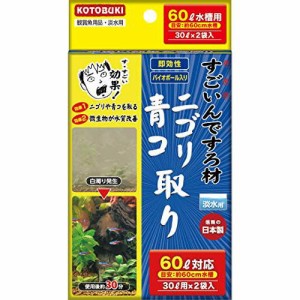 すごいんですろ材　ニゴリ・青コ取り 送料無料