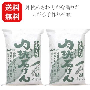 月桃石鹸 日本月桃 100g×2個 メール便送料無料 洗顔石鹸 固形 無添加 手作り ボディソープ 沖縄のお土産 固形石鹸