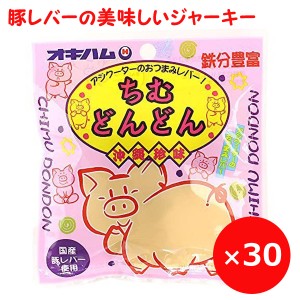 ジャーキー おつまみ 豚レバー オキハム ちむどんどん 15g×30個 沖縄のお土産 沖縄ハム 鉄分補給 お菓子