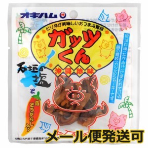 オキハム ジャーキー ガッツくん 15g メール便発送可 （10個まで）おつまみ 沖縄のお土産