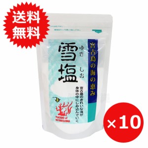 雪塩 沖縄の塩 60g×10個 パラダイスプラン 送料無料 天然塩 沖縄土産 海塩