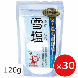 雪塩 120g×30個 沖縄の塩 パラダイスプラン 天然塩 沖縄のお土産 まとめ買い 沖縄土産 調味料