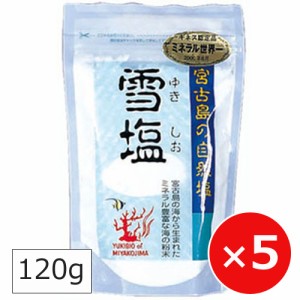 雪塩 沖縄の塩 パラダイスプラン 120g×5個 沖縄土産 沖縄限定 天然塩 海塩