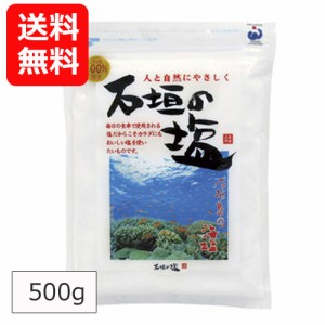 沖縄の塩 石垣の塩 500g メール便送料無料 沖縄のお土産 塩 調味料 美味しい塩 おすすめ 天然塩 自然塩