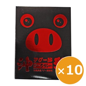 アグー豚 あぐー豚ポークカレー 180g×10個 ナンポー ご当地カレー レトルト ご当地グルメ 沖縄土産 お取り寄せ