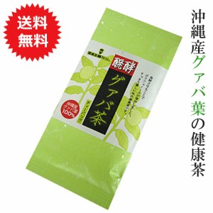 グァバ茶 グアバ茶 醗酵タイプ 15包 メール便送料無料 健康茶 ティーバッグ ティーパック 沖縄産グァバ葉 