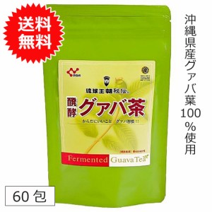 グァバ茶 グアバ茶 醗酵グァバ茶 60包 送料無料 ティーバッグ ティーパック ノンカフェイン 健康茶