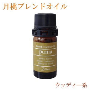 月桃ブレンドエッセンシャルオイル 月桃 精油 日本月桃 puma（木）5ml メール便送料無料 気分転換 リラックス ウッド系 沖縄土産 ご当地