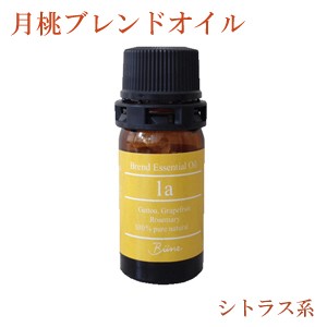 月桃 精油 アロマオイル 月桃ブレンドエッセンシャルオイル 日本月桃 la（太陽）5ml メール便送料無料 気分転換 おすすめ 沖縄土産 ご当