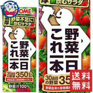 送料無料 カゴメ 野菜一日これ一本 200ml×24本入×1ケース 