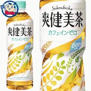 送料無料 コカコーラ 爽健美茶 600ml×24本×2ケース