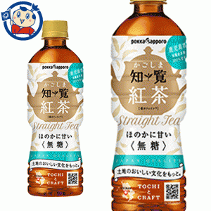 送料無料 ポッカサッポロ かごしま知覧紅茶無糖 520ml×24本入×2ケース 発売日：2022年9月12日