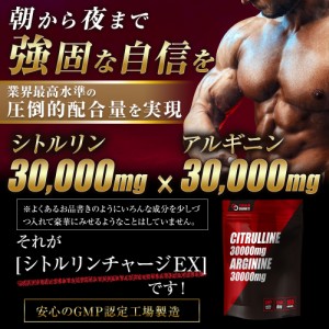 シトルリン アルギニン シトルリン サプリ アルギニン 30000mg シトルリン30000mg 亜鉛 マカ EX 30日分 180粒