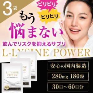 送料無料 リジン サプリメント アミノ酸 Lリジン 1日1500mg配合 国内製 L-LYSINE POWER 健康サプリメント 3個セット