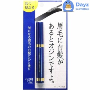 ビナ薬粧 メンズ 眉墨　通常便　｜　メンズアイブロウ 白髪隠し まゆげ マユ毛 白髪　｜　nc