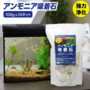 SMILE PET CLUB アンモニア吸着石 100g 10袋 水質浄化 水槽 アクアリウム pH調整 ゼオライト 水質改善 リン吸着 メダカ