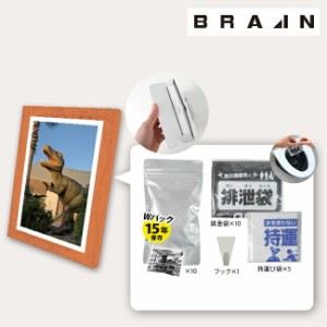 BRAIN ブレイン 飾るアート非常用トイレ10回分(大サイズ)　BR-ATT200