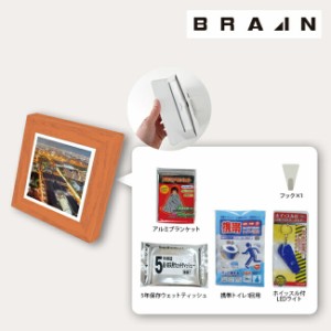 BRAIN ブレイン 飾るアート防災セット　BR-ATT300