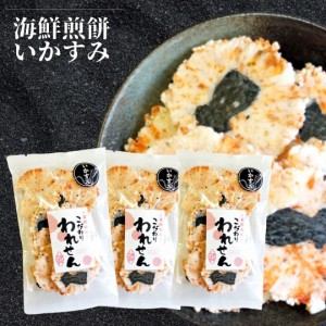 せんべい 訳あり いかすみ 3袋 セット イカ墨 送料無料 割れせんべい 海鮮せんべい ワケあり おせんべい 食品 お試し われせん アウトレ