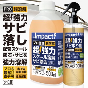 【プロも唖然! 】超強力 サビ落とし サビ取り インパクトデスケーラー【ハード】500ml+300ml セット さび落とし サビ取り剤 鉄錆 鉄粉除