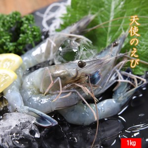 天使のえび 30〜40サイズ えび エビ 海老 刺身 生食 父の日 母の日 夏ギフト サマーギフト お中元 御中元 敬老の日 お取り寄せグルメ お