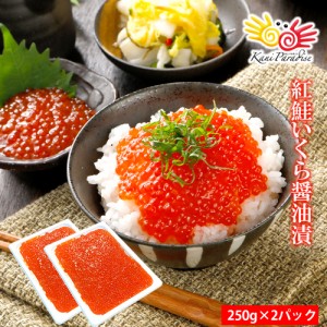 いくら イクラ 醤油漬け  ( 紅鮭 )  紅鮭いくら 500g ( 250g×2パック ) 小粒 海鮮丼 軍艦 ちらし 父の日 夏ギフト サマーギフト お中元 