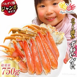 かに カニ 蟹 カット済 ずわいがに むき身セット 総重量750g（正味重量600g） かにしゃぶ かに鍋 ズワイガニ ずわい蟹 オオズワイガニ バ