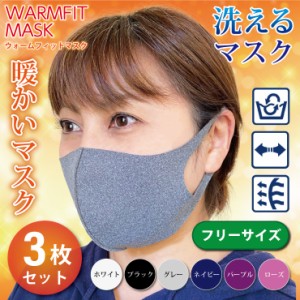 マスク 洗える 秋冬 3枚入  ウォームフィットマスク 大人用 WARMFIT MASK  フリーサイズ 6色 ウイルス 熱素材 伸縮性 ストレッチ 