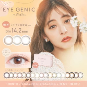 【度あり】アイジェニック by エバーカラー 新木優子(1箱1枚入り)( 送料無料 EYEGENIC by EverColor マンスリー 1ヶ月 長期装用 カラコン