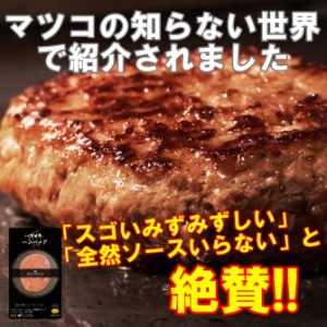 宮崎県有田牛ハンバーグ（150g×5個）／送料無料！（北海道・沖縄は別途送料594円が掛かります）／マツコの知らない世界で紹介されました