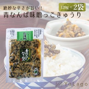 道奥 青なんばん みそっこ胡瓜 120g 2個 青唐辛子味噌 胡瓜 味噌漬け 南蛮味噌漬け ご飯のお供 岩手県 漬け物 ごはん ご飯 岩手 日本 つ