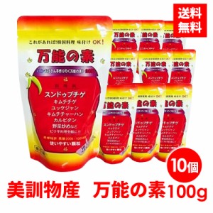 美訓物産 万能の素 100g 10個セット 唐辛子 韓国料理 激辛好き