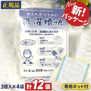 【送料無料 専用ネット付】洗濯槽快 30g 3袋入り×4個セット 単品 ホタテ 貝殻 洗濯槽クリーナー 洗濯槽 クリーナー 掃除 せんたくそうか