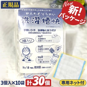 【計30袋入り!! 専用ネット付】洗濯槽快 30g 3袋入り 10個セット ホタテ 貝殻 洗濯槽クリーナー 洗濯槽 クリーナー せんたくそうかい 洗