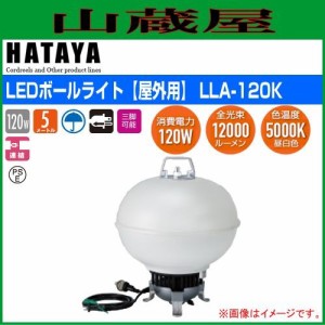 ハタヤリミテッド [HATAYA]  LEDボールライト[屋外用: LLA-120K